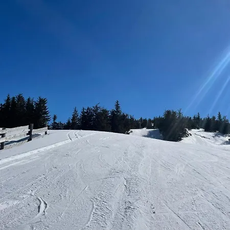 Шале Wellness Fimili