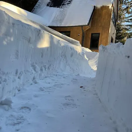 Wellness Fimili 木屋 Vyšná Boca